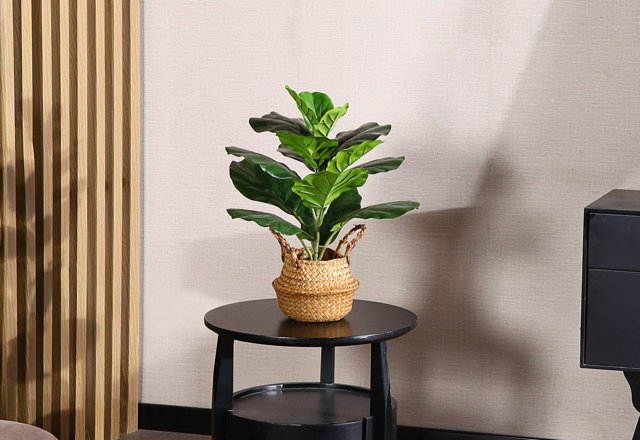 Faux Plants & Trees for Less